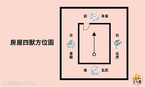 大門龍邊碰壁|【龍邊碰壁化解】龍邊碰壁化解：招財進寶，旺運開運！